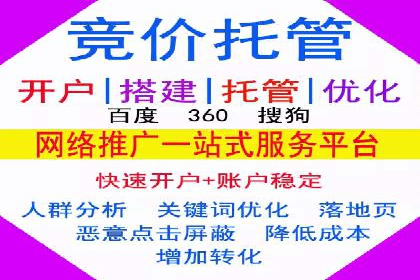 某电商平台SEM竞价广告的转化率提升案例